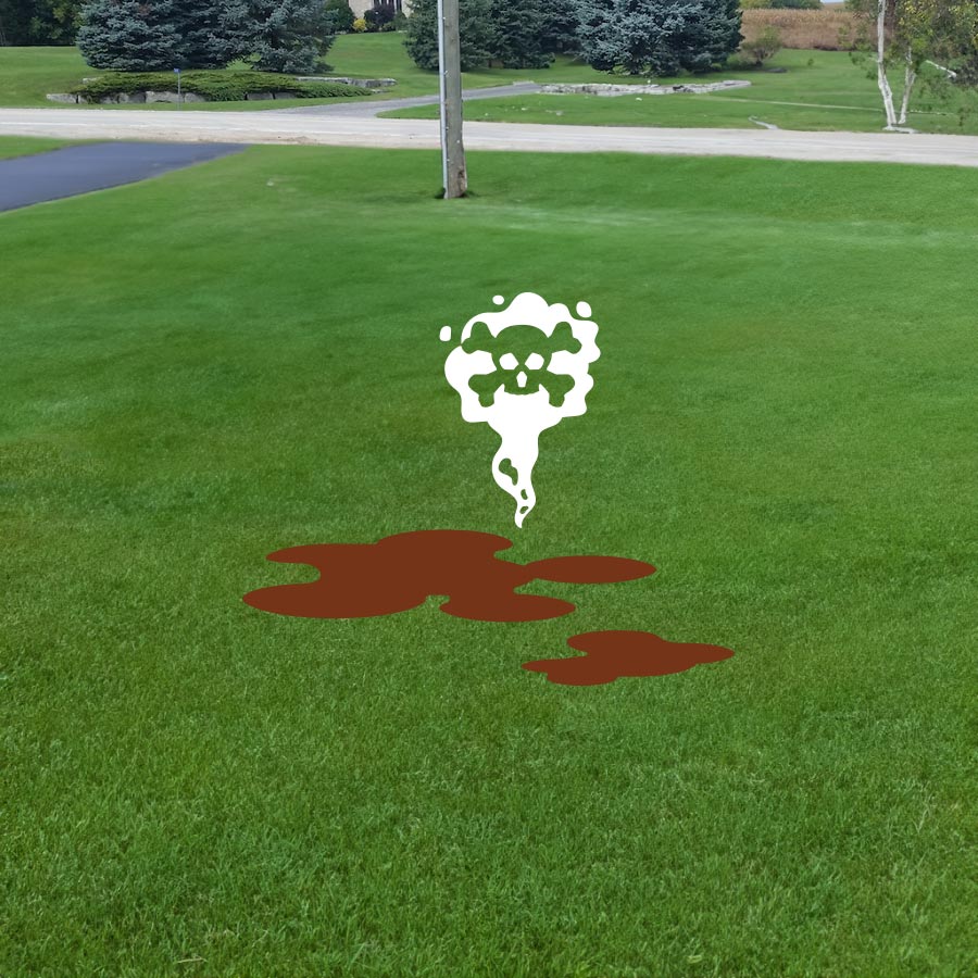 A septic system repair, from the contaminated lawn to the septic system installation and the final clean, safe yard.
