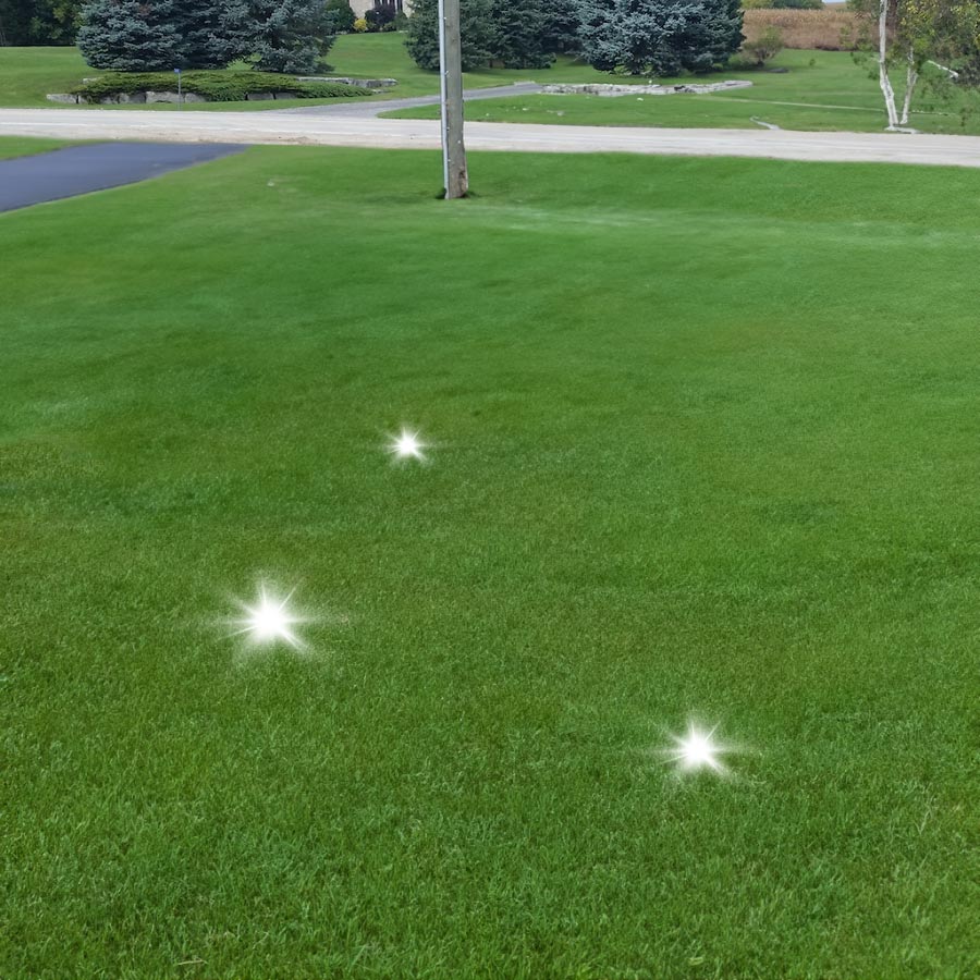 A septic system repair, from the contaminated lawn to the septic system installation and the final clean, safe yard.